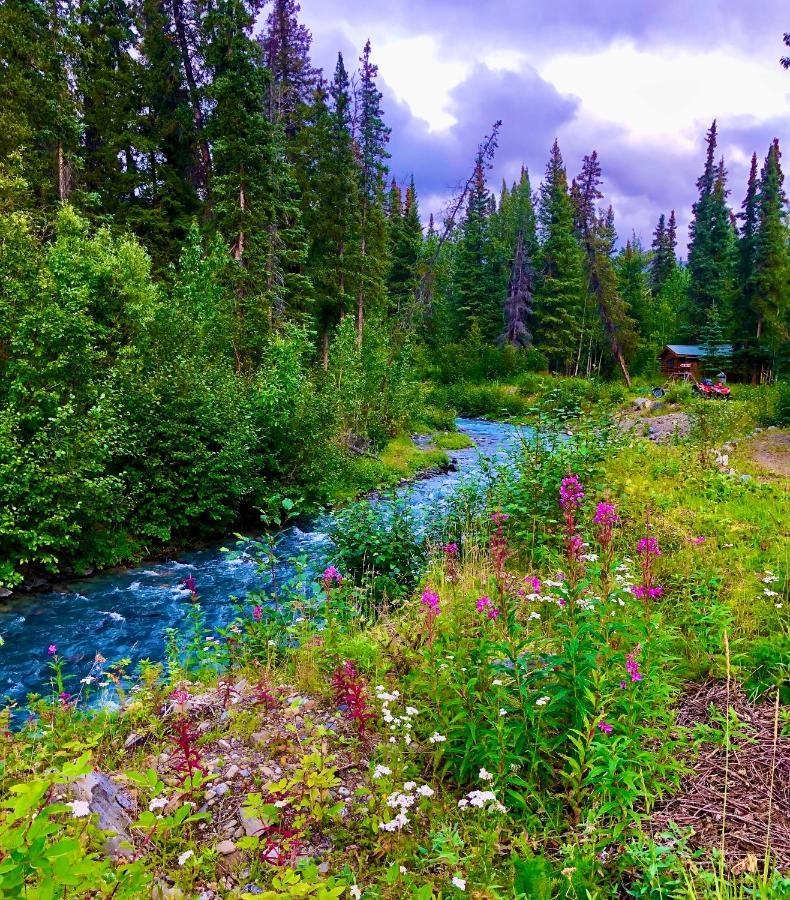 Carlo Creek Cabins Denali Park Luaran gambar