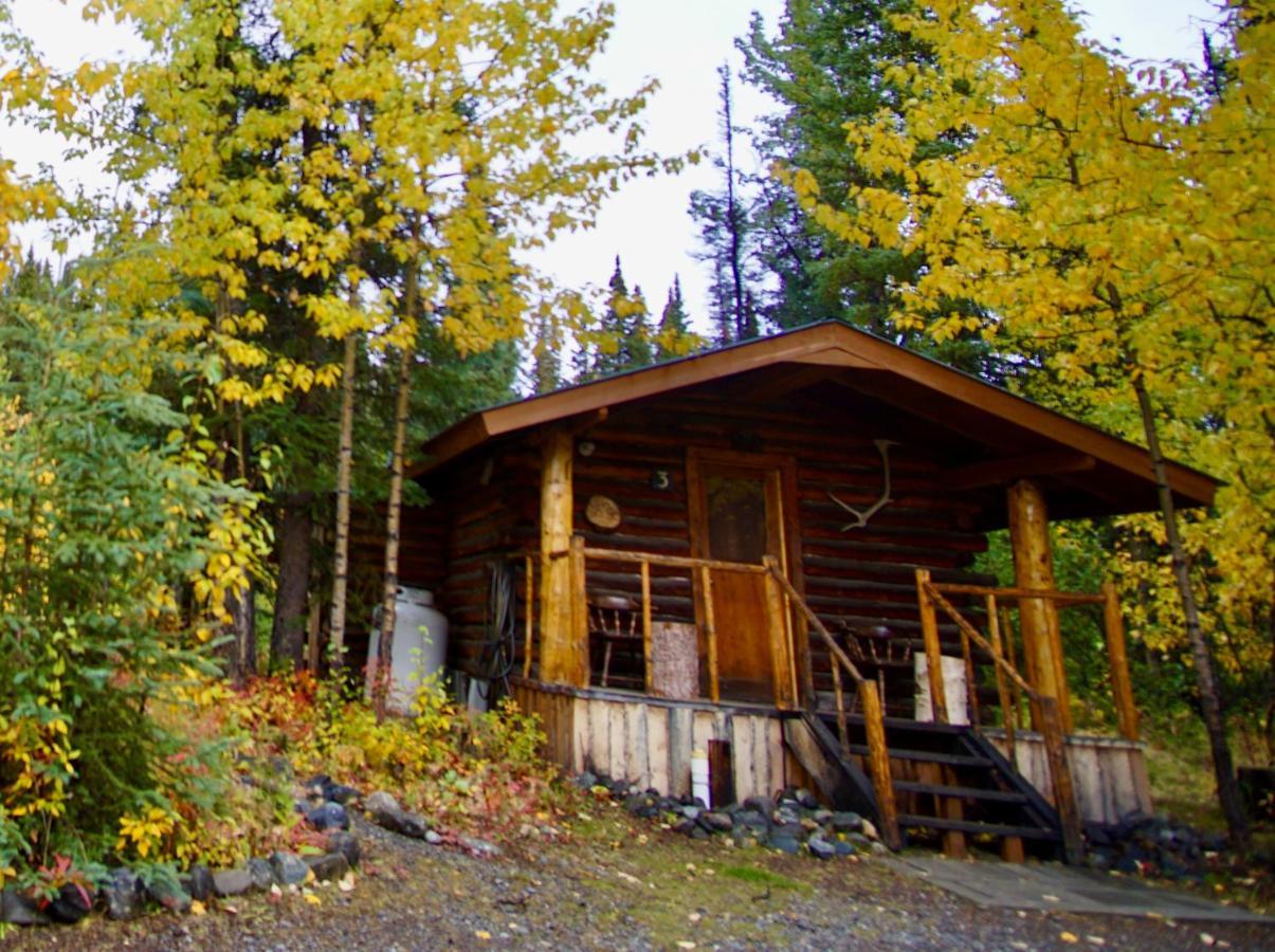 Carlo Creek Cabins Denali Park Luaran gambar