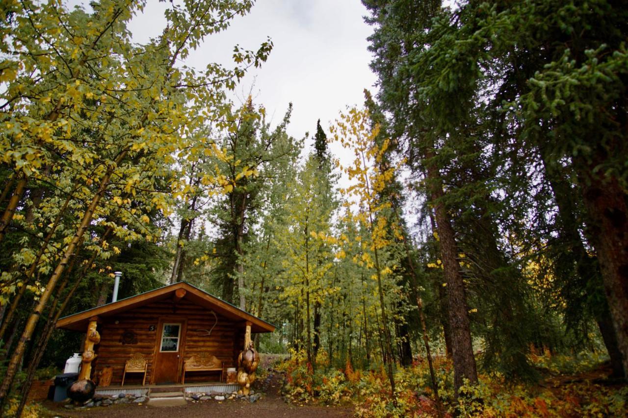 Carlo Creek Cabins Denali Park Luaran gambar