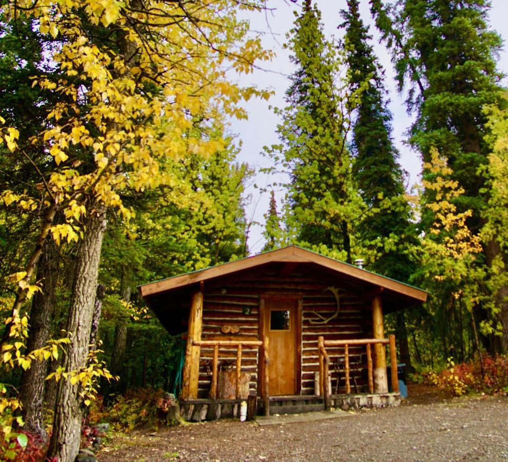 Carlo Creek Cabins Denali Park Luaran gambar