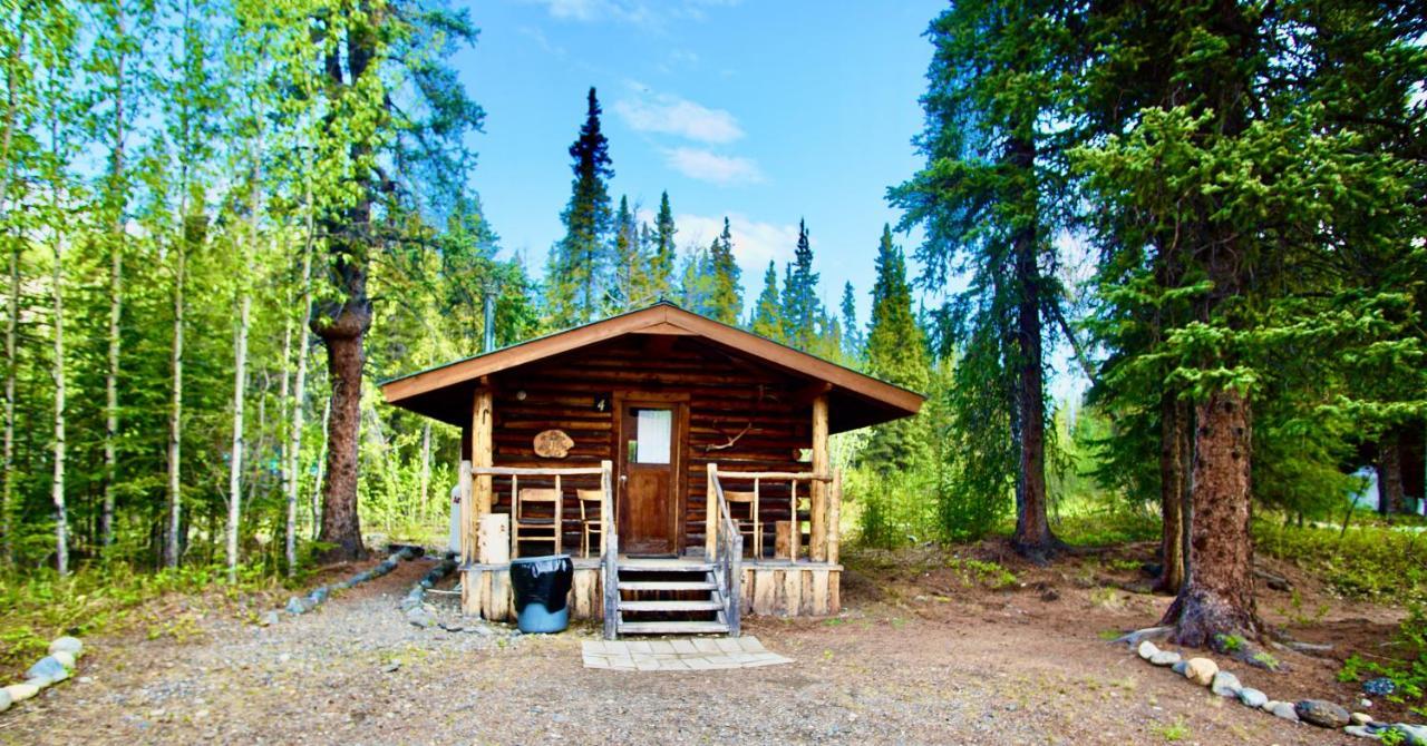 Carlo Creek Cabins Denali Park Luaran gambar