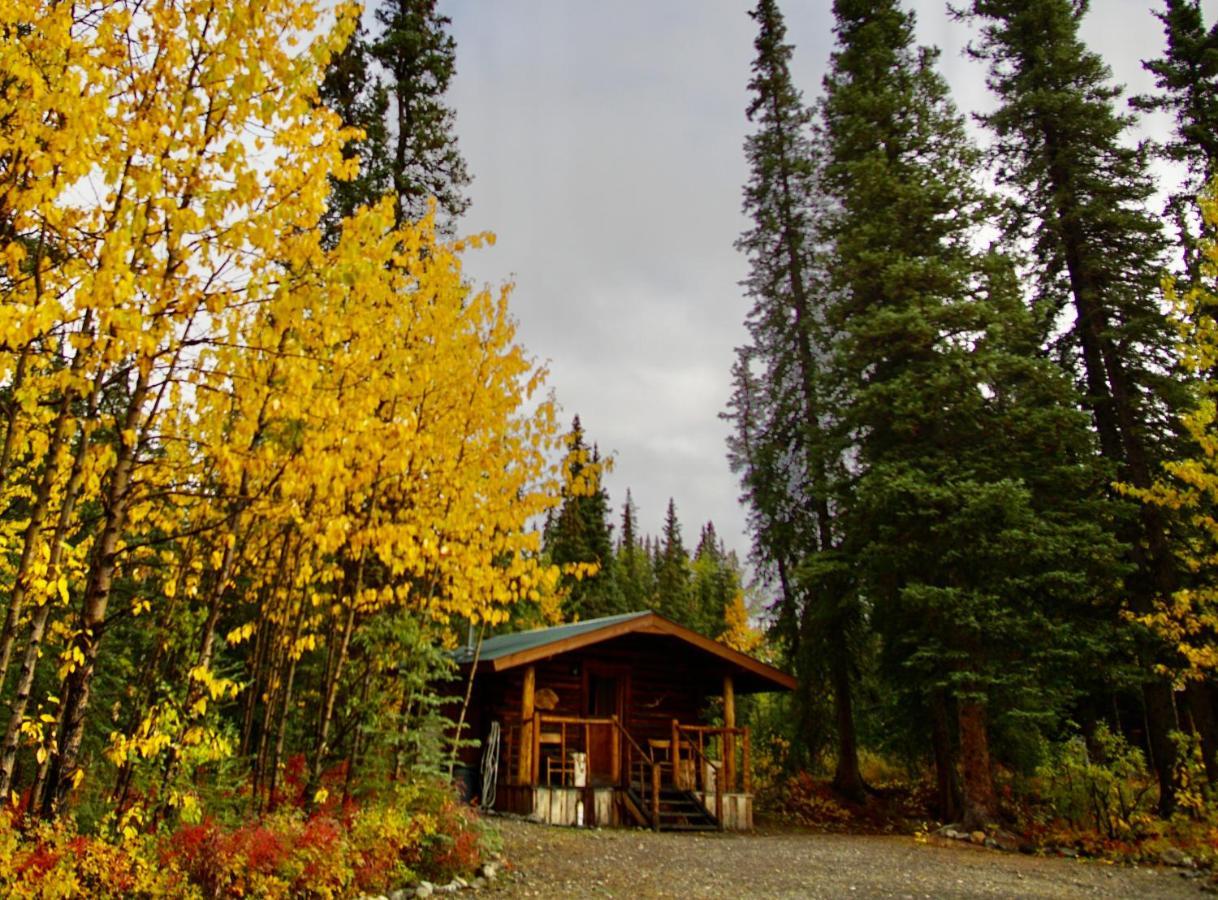 Carlo Creek Cabins Denali Park Luaran gambar