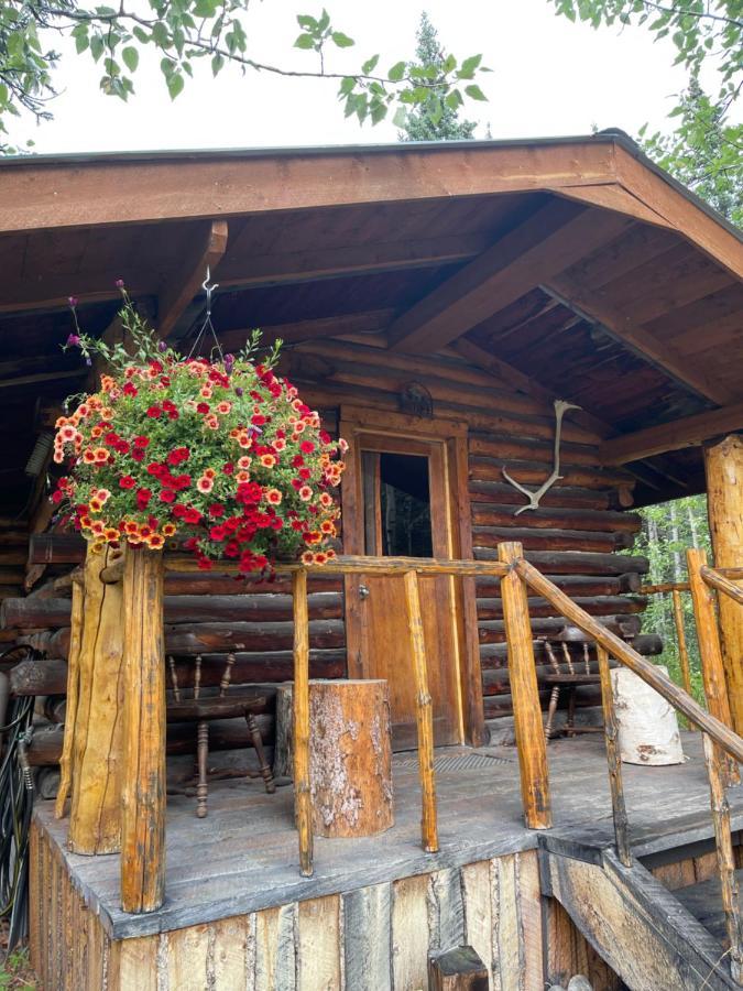 Carlo Creek Cabins Denali Park Luaran gambar