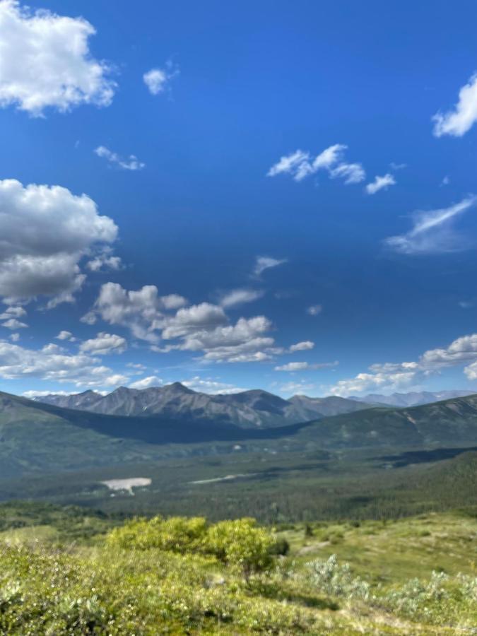 Carlo Creek Cabins Denali Park Luaran gambar