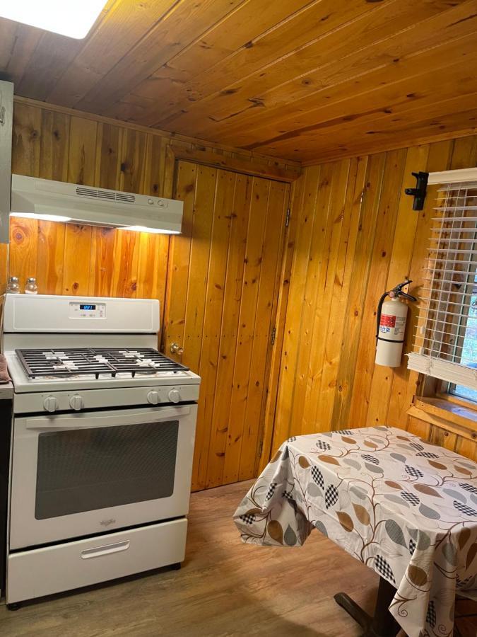 Carlo Creek Cabins Denali Park Luaran gambar