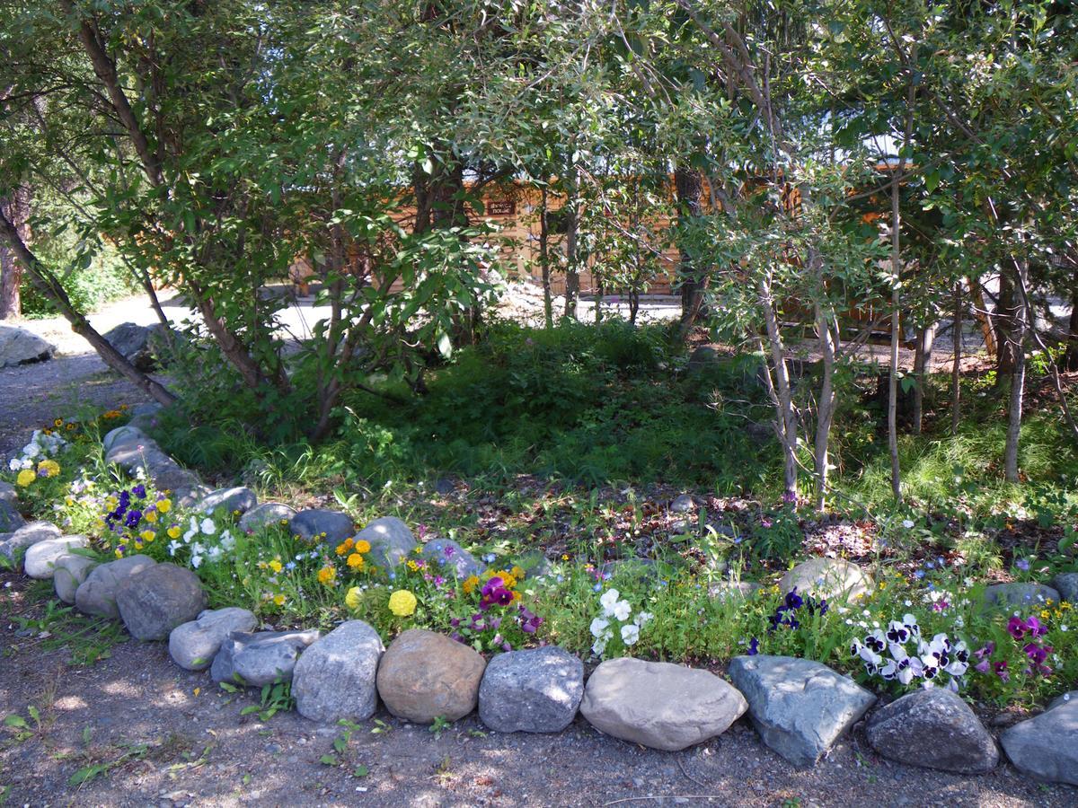 Carlo Creek Cabins Denali Park Luaran gambar