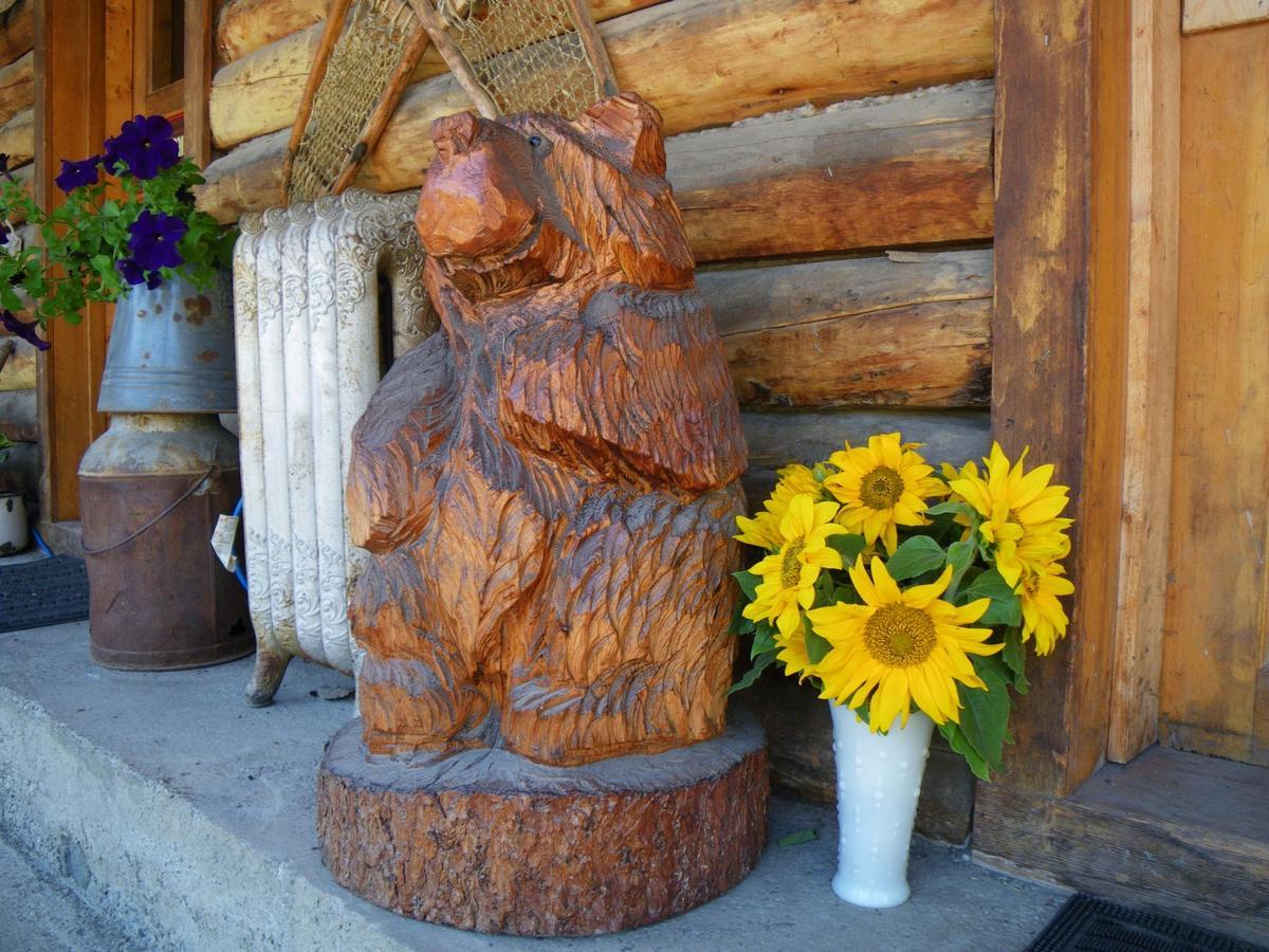 Carlo Creek Cabins Denali Park Luaran gambar