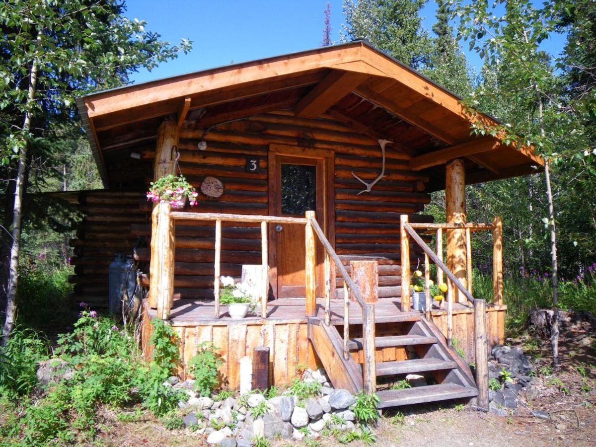 Carlo Creek Cabins Denali Park Luaran gambar